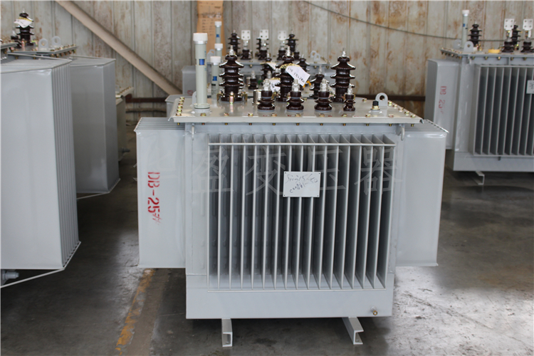 哈密S20-800kVA/10kV/0.4kV变压器